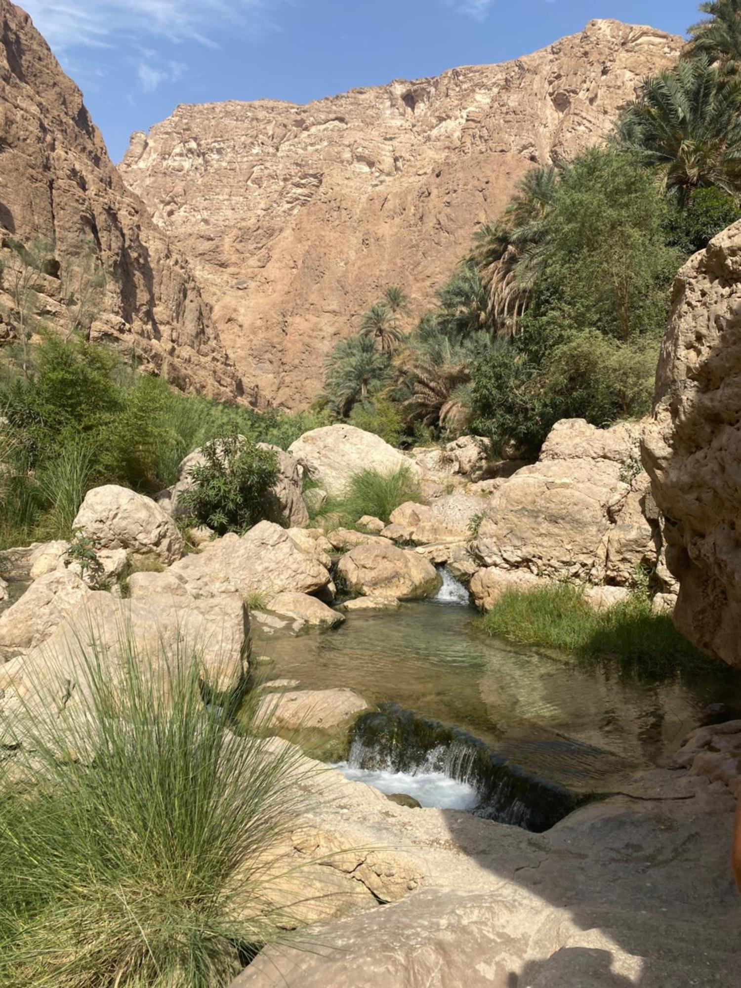 Wadi shab guest house Tiwi Esterno foto